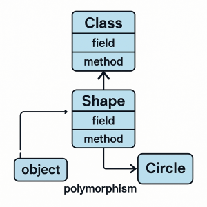 Simplified UML-style diagram showing class, shape, circle, and object relationships in Java OOP